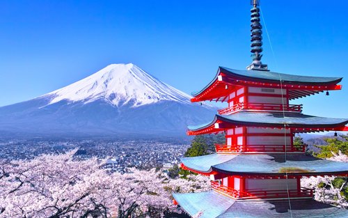 [Popular Mt. Fuji Instagram Spots] Mt. Fuji Famous Park & Hikawa Clock Shop & Lawson Convenience Store & Oshino Hakkai & Oishi Park Day Trip (Departing from Tokyo Station or Shinjuku Station)