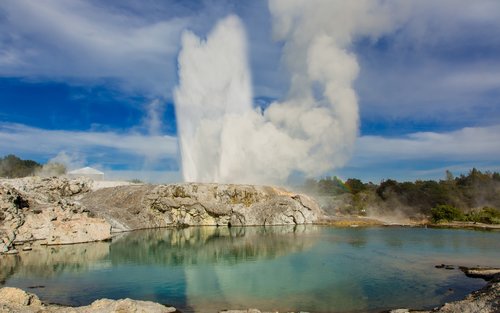 Tour di un giorno alla valle geotermica di Te Puia 