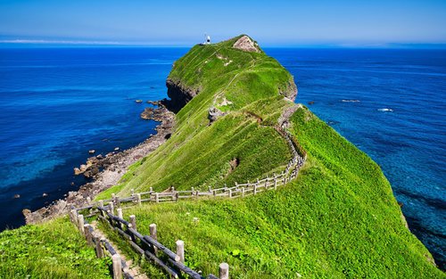 Cape Camui & Shiroi Koibito Park & Otaru & Shakotan Day Tour