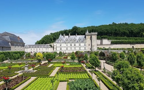 Loire Valley Day Tour: Villandry, Azay-le-Rideau & Vouvray wineries