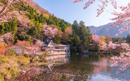 【福岡発】由布院＆別府温泉郷 日帰りツアー｜如意輪寺・金鱗湖 水上鳥居・人力車体験・海地獄めぐり