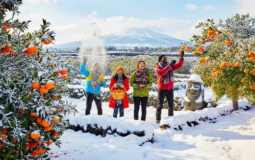 Jeju's Southern Euphoria Tour With Mt.Halla, Green tea, Waterfall