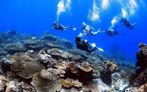 艾尔尼多水肺潜水:2026艾尔尼多水肺潜水推荐