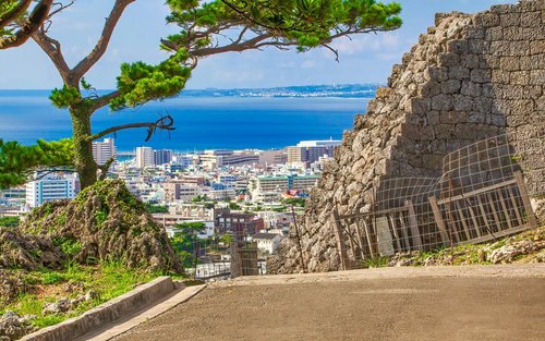 Tour privato di 1,5 ore del Castello di Okinawa Urasoe e Youdore