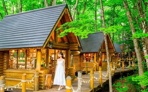 北海道人气景點一日游｜旭川动物园&网红树&白须瀑布&美瑛青池&精灵露台