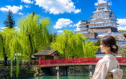 Excursion d'une journée au château de Himeji, au mont Rokko de Kobe et aux sources thermales d'Arima (printemps/toute l'année) 