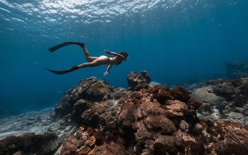 Taitung: Green Island Freediving Experience (No License Required & Includes Underwater Photography)