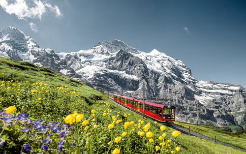 Lucerne and Swiss Alps Multi-Day Mountains Tour