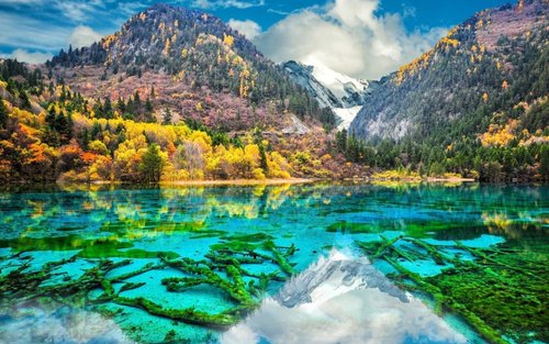 Western Sichuan Panorama Aba 5-Day Tour: Jiuzhaigou & Mount Siguniang