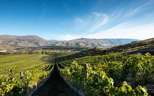 Jet Boat and Wine Full-Day Tour