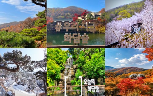 2026年 韓国 花談の森のおすすめツアー