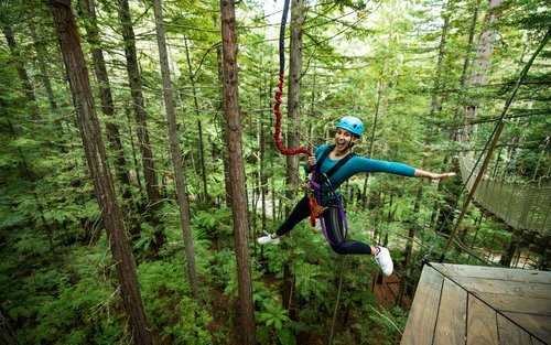 Rotorua Redwoods Altitude Zipline & High Ropes Adventure