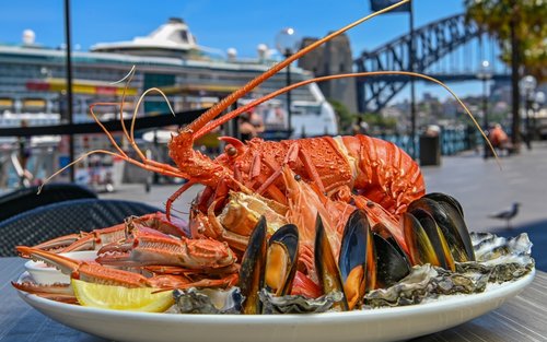 Dining Experience in Searock Bar and Grill