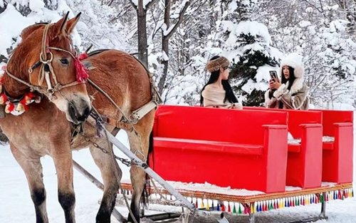 Yabuli New Sports Committee Full-Day Small Group Skiing Experience