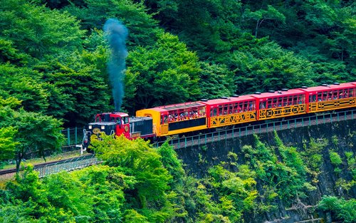Kyoto Arashiyama at Sanzen-in Small Group Day Tour