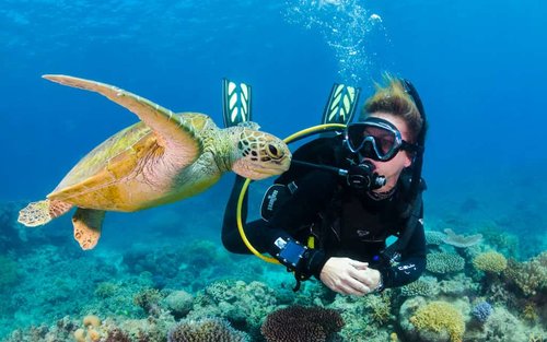 Immersioni subacquee a Kemer con transfer da Antalya