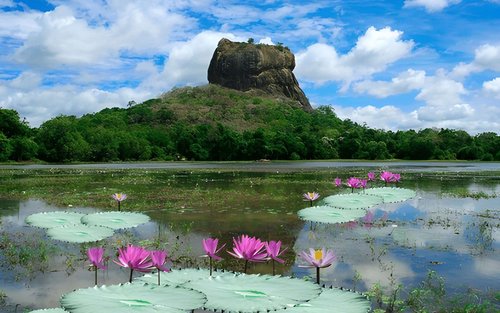 Sigiriya Village Tour and Lunch