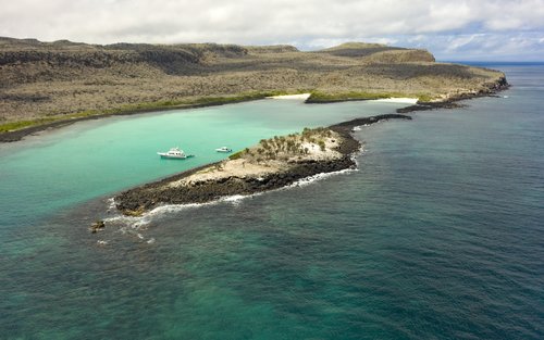 Full-Day Snorkelling Trip