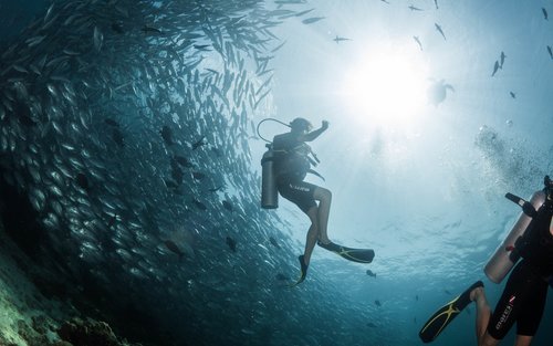 西巴丹島FunDive潛水一日遊（PADI潛水中心）