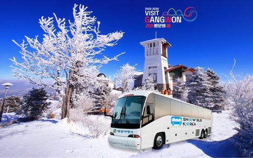 共乘景点接送 首尔 - Alpensia 滑雪度假村／龙平滑雪度假村