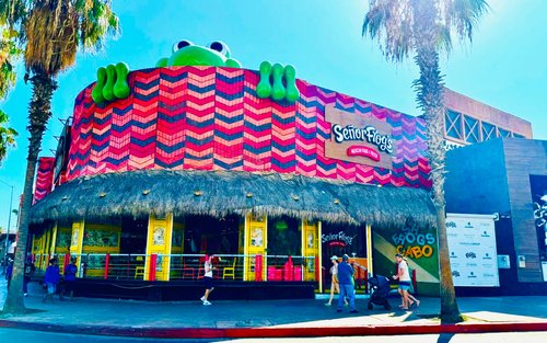 Sr. Frog's Restaurant Mexican Food & Fiesta