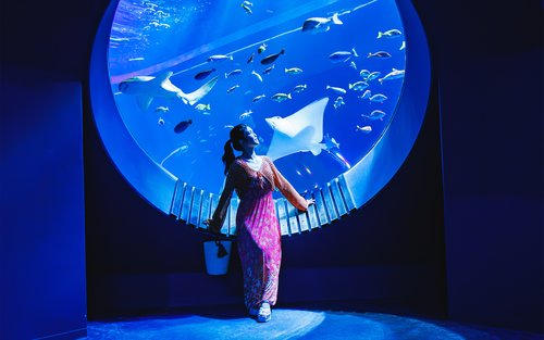 DMMかりゆし水族館 入場チケット（沖縄）