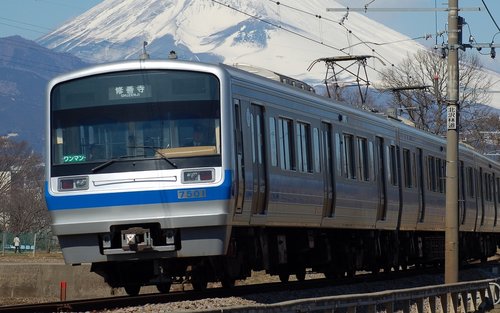 Izuhakone Line 1-Day & 2-Day Pass (Riles at Bus)