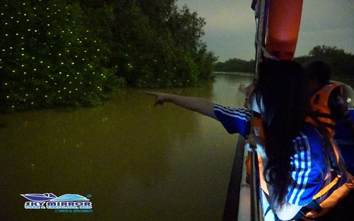 Kuala Lumpur Sky Mirror Firefly & Eagle Feeding Night Tour