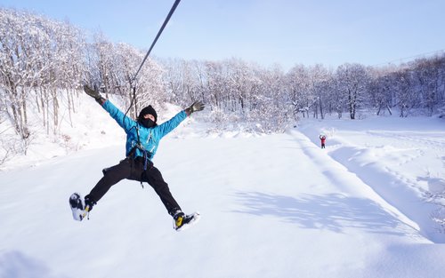 Zipline experience in the forests of Hokkaido