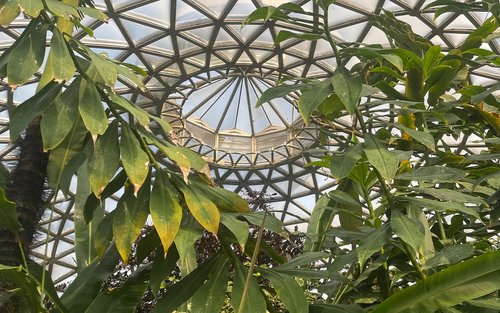 Brisbane Insights Tour