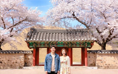 大邱出发庆州一日游：包含佛国寺在内的7大亮点
