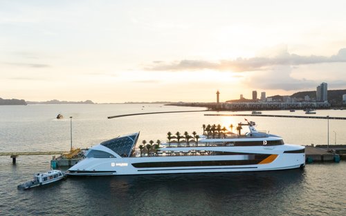 Dolphin Day Cruise: Ha Long, Sung Sot, Ti Top with Luxury Transfer
