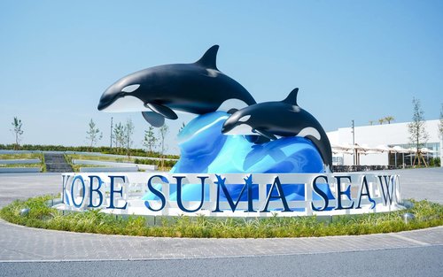 Kobe Suma Seaworld