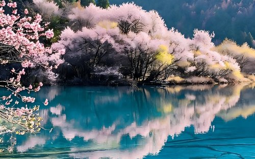 Chengdu Jiuzhaigou Full-Day Small Group Tour