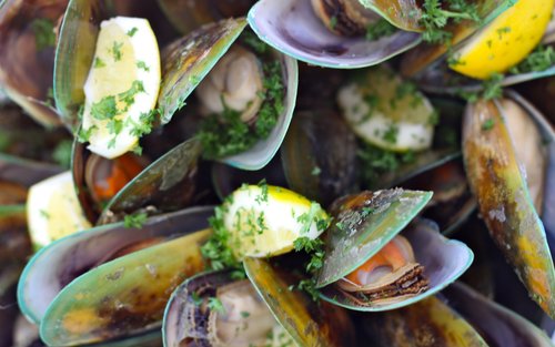 马尔堡绿唇贻贝游船之旅