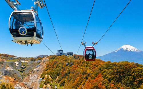 Mount Fuji & Hakone Day Trip with Cable Car Experience - Swan Lake Yamanakako & Oshino Hakkai Scenic Views & Torii Reflection & Owakudani Volcanic Wonders (Departing from Tokyo)