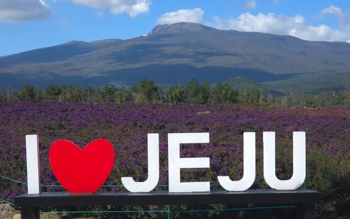 East Jeju Premium Limousine Bus Tour