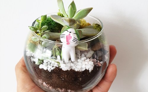 Terrarium and Airplant Greenwall Workshop in Funan & PLQ