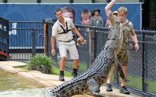 Aventura de Transferência e Entrada no Zoológico da Austrália