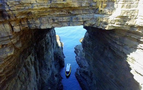 Bruny Island 3-Hour Wilderness Cruise from Adventure Bay 