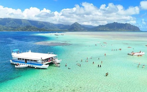 Kaneohe Bay Sandbar Adventure Half-Day Tour with Round-Trip Transportation