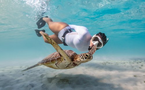 米蕊莎浮潛：私人海龜之旅（初學者友善、安全）