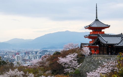 Kyoto Kinkakuji & Gion Full-Day Private Tour with Driver