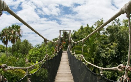 Jungle Park-ticket op Tenerife