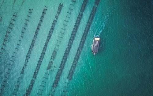 Lawatan ke Coffin Bay & Merasai Tiram (Bertolak dari Port Lincoln)