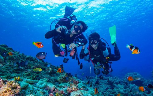 Antalya/Kemer: Immersioni subacquee con prelievo, pranzo e 2 immersioni