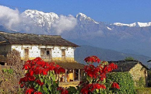 Dhampus & Australian Camp One-day Mountain & Nature Tour