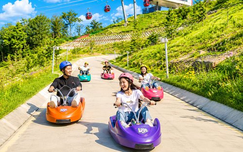 Ganghwa Luge, Rail Bike & Wolmido Island Full-Day Tour