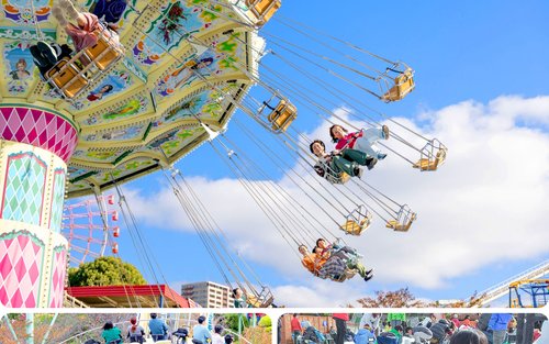 Top 10 Ikoma Day trips 2026 - Klook United States