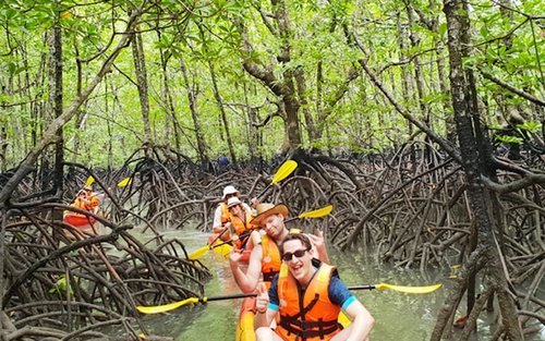 Half-day Mangrove Kayaking Tour from Ko Lanta with Lunch